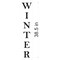 38.5-Inch Winter Tall Wall Stencil | 3806 by Designer Stencils | Word & Phrase Stencils | Reusable Art Craft Stencils for Painting on Walls, Canvas, Wood | Reusable Plastic Paint Stencil for Home Makeover | Easy to Use & Clean Art Stencil